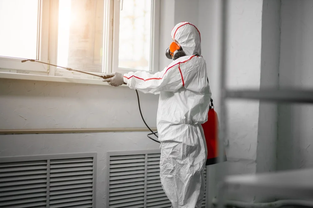 Professional mold remediation services in Columbus, NJ